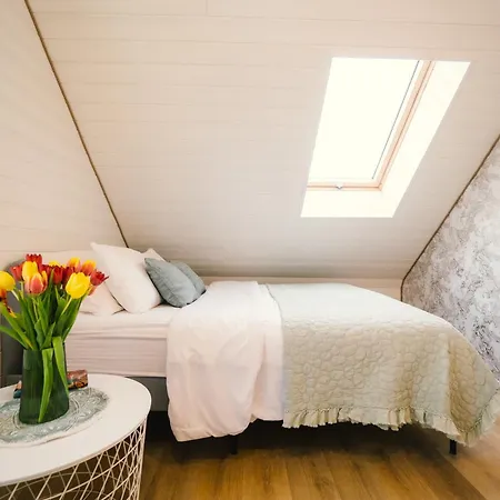 度假居 Priimaee Talu